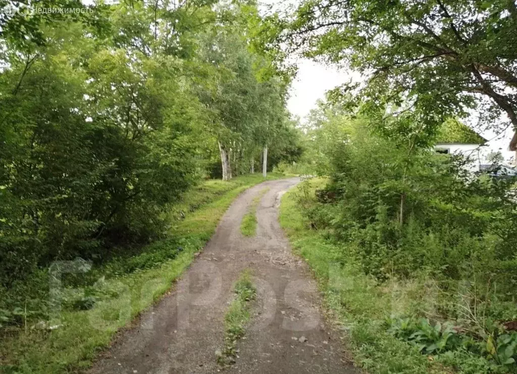 Участок в село Кневичи, улица Марии Цукановой, 18 (8 м) - Фото 2