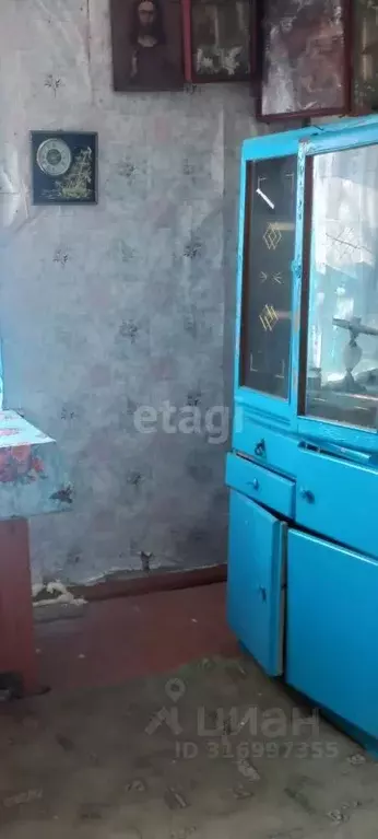 Дом в Курская область, Тимский район, Становской сельсовет, с. 3-е ... - Фото 1