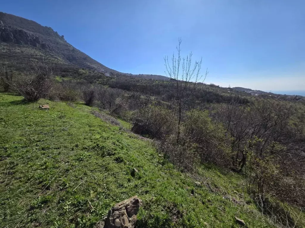 Участок в Крым, Алушта муниципальный округ, с. Лучистое  (60.0 сот.) - Фото 1