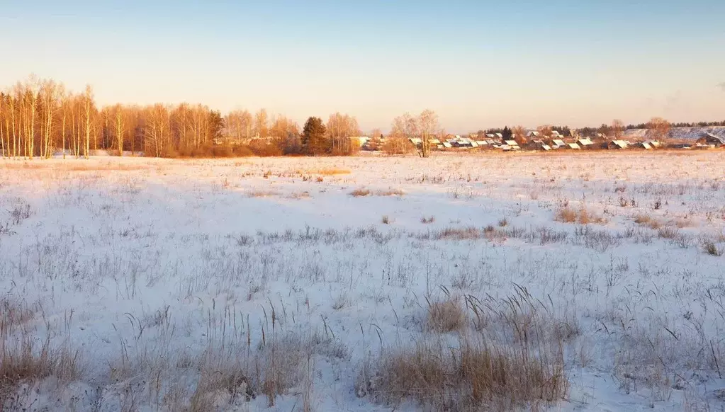 Участок в Омская область, Омский район, с. Дружино, Микрорайон ... - Фото 0