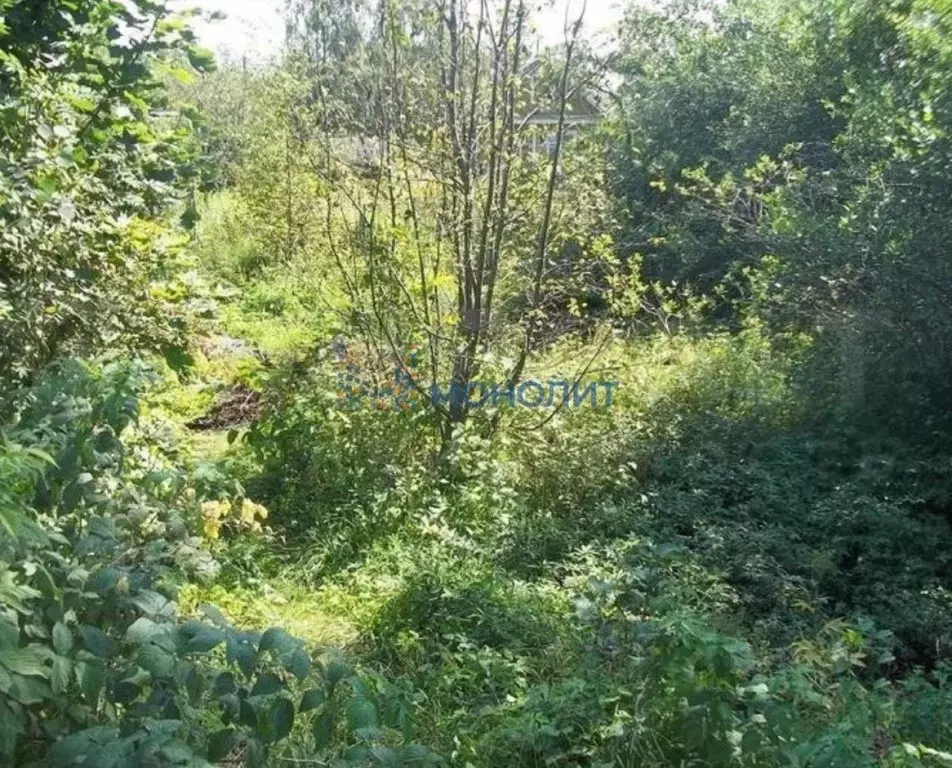 Участок в Нижегородская область, Нижний Новгород Александровская сл.,  ... - Фото 1