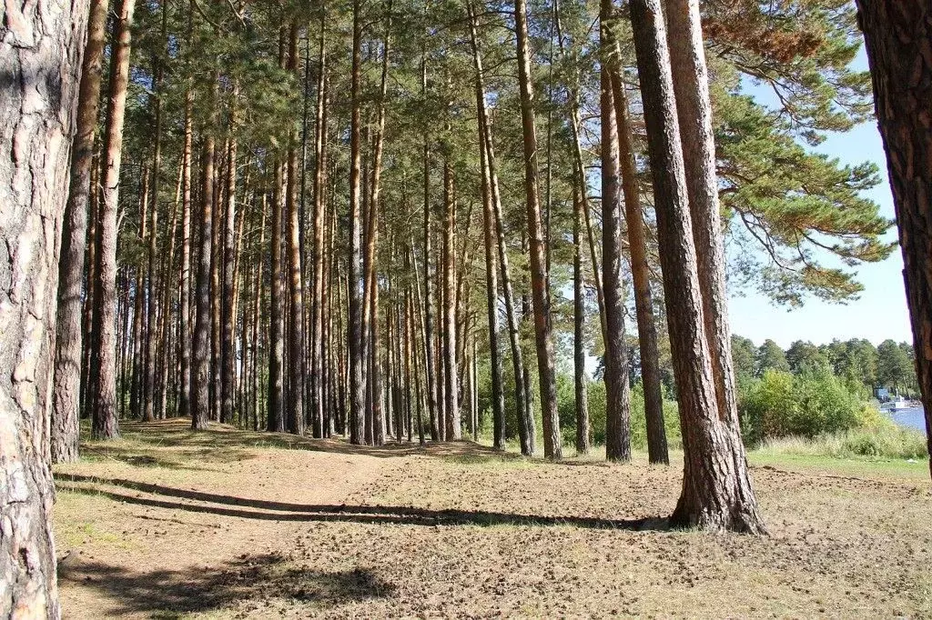 Купить Недвижимость В Сысертском Районе