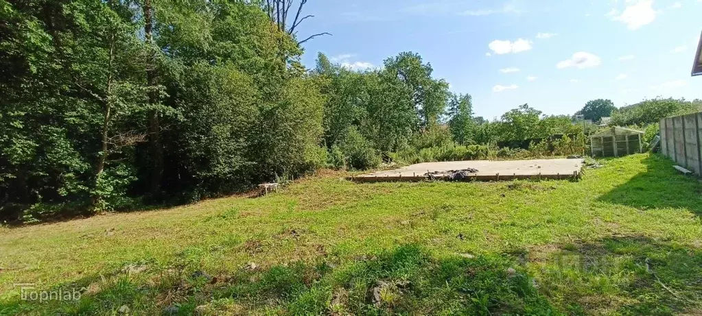 Участок в Калининградская область, Калининград Дивное СНТ,  (7.0 сот.) - Фото 1