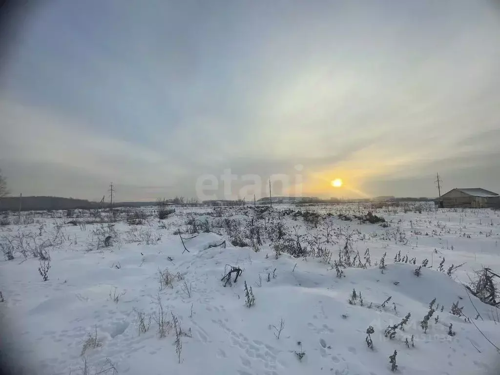 Участок в Новосибирская область, Новосибирский район, Криводановский ... - Фото 1