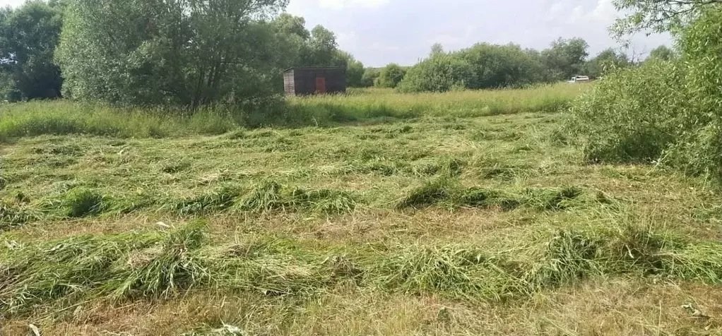 Участок в Московская область, Лотошино муниципальный округ, д. ... - Фото 1