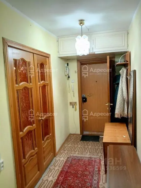 2-к кв. Волгоградская область, Волгоград ул. Кирова, 86А (51.3 м) - Фото 1