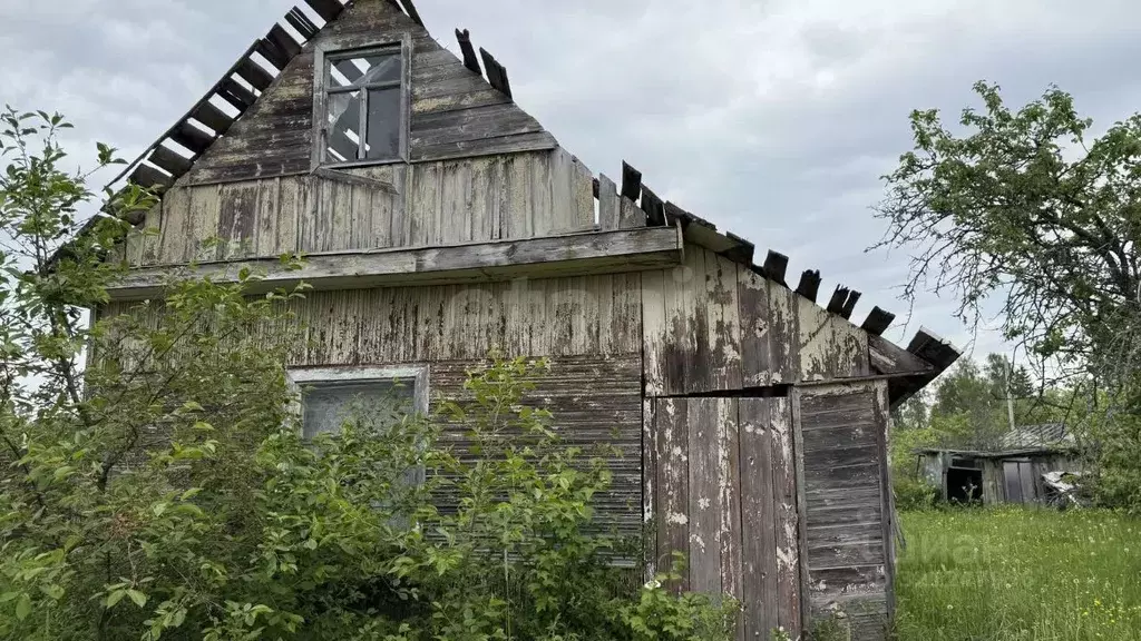 Участок в Ленинградская область, Киришский район, Кусинское с/пос, ... - Фото 1