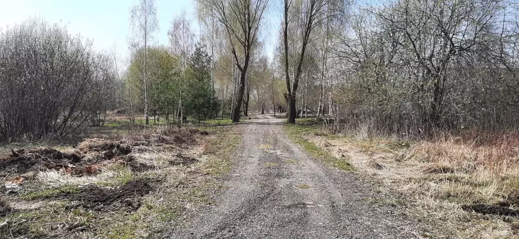 Участок в Московская область, Воскресенск городской округ, д. Бочевино ... - Фото 1