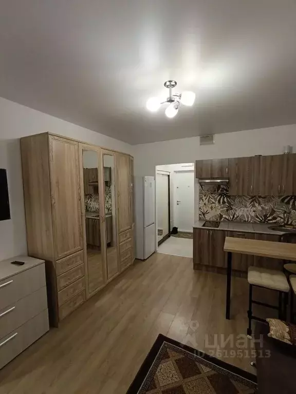 Студия Московская область, Котельники Парковый мкр, 1к3 (20.0 м) - Фото 2