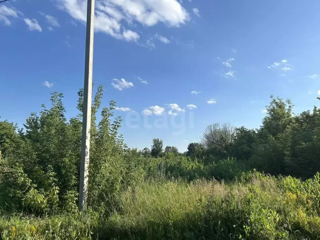 Участок в Саратовская область, Балашовский район, Репинское ... - Фото 1