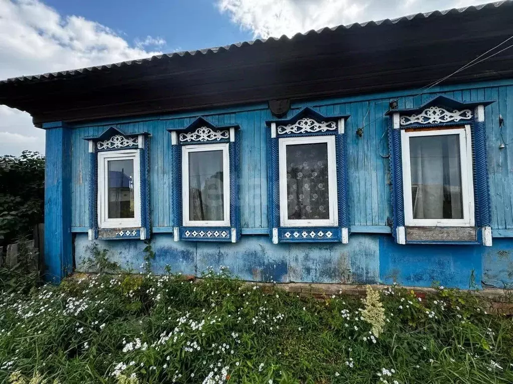 Дом в Удмуртия, Камбарский район, д. Нижний Армязь ул. Чернышева, 6 ... - Фото 1