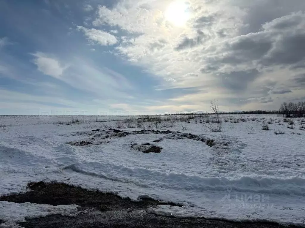 Участок в Татарстан, Лаишевский район, Среднедевятовское с/пос, д. ... - Фото 1