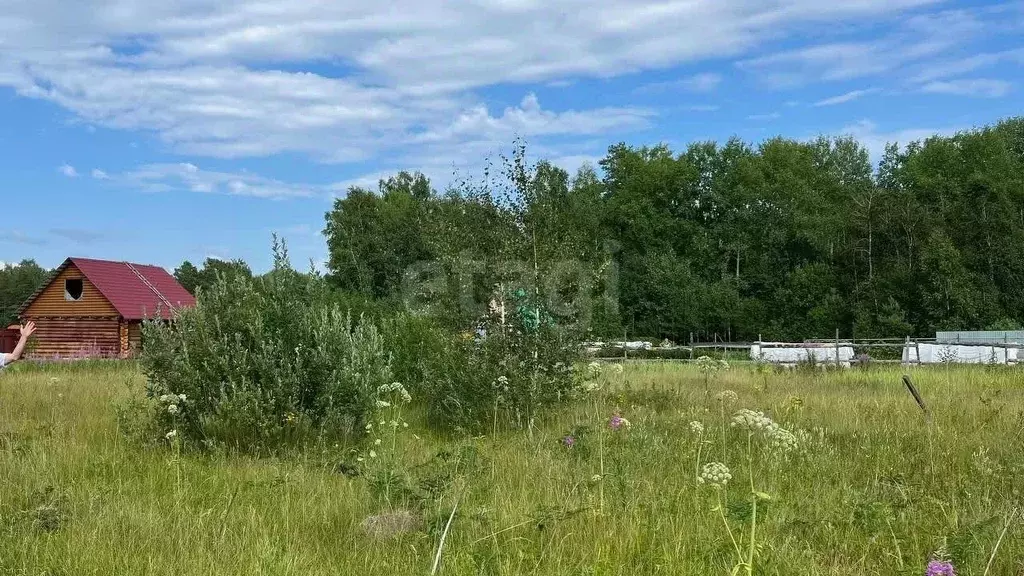 участок в тюменская область, тюменский район, д. есаулова (6.61 сот.) - Фото 0