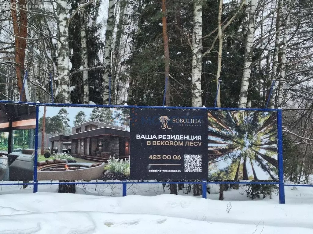 Участок в Нижегородская область, Городецкий муниципальный округ, ... - Фото 2