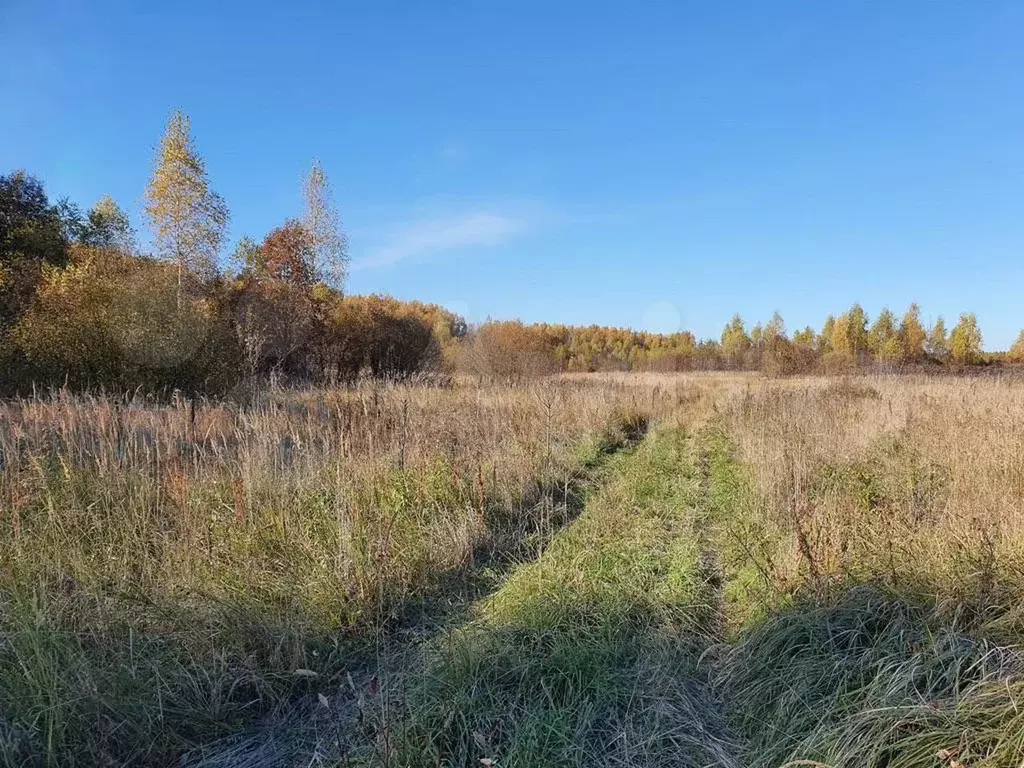 Прибрежный 3 Можайский Район Купить