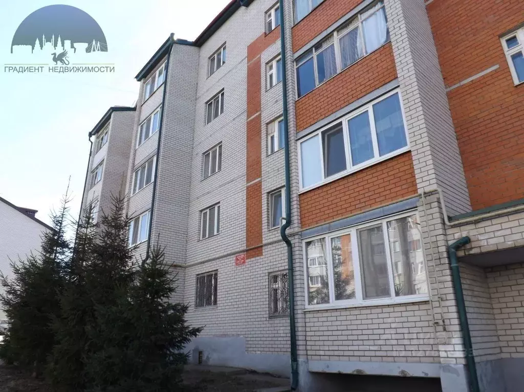 2-к кв. Татарстан, с. Высокая Гора ул. Мичурина, 12 (60.2 м) - Фото 1