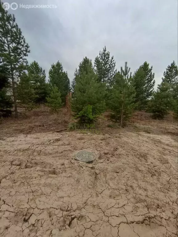 Участок в село Нижний Саянтуй, ДНТ Багульник, 2-й квартал (12 м) - Фото 2