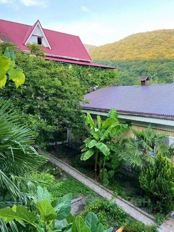 1-к кв. Краснодарский край, Сочи Макопсе мкр,  (22.0 м) - Фото 0
