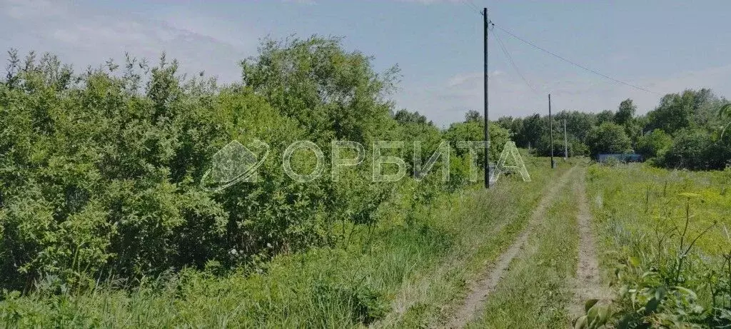 Участок в Тюменская область, Тюменский муниципальный округ, пос. ... - Фото 2