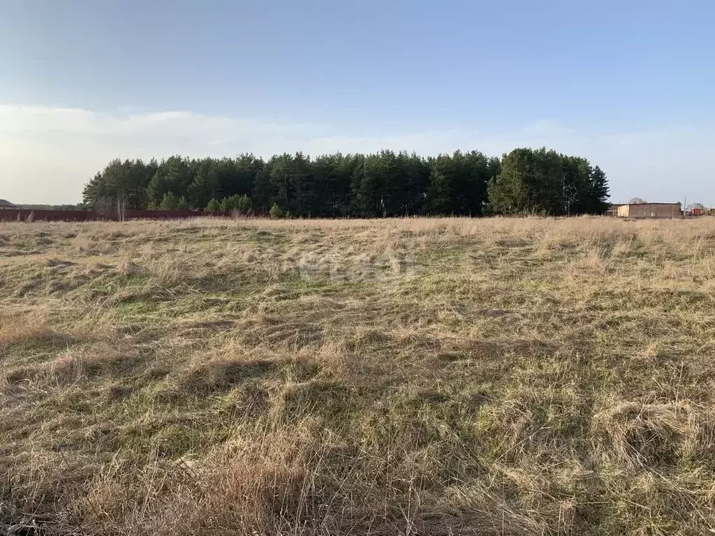 Участок в Саратовская область, Балашовский район, с. Большой Мелик ... - Фото 0