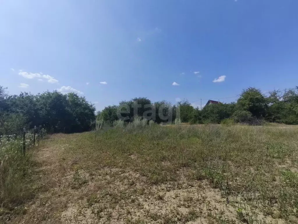 Участок в Белгородская область, Белгородский район, Тавровское с/пос, ... - Фото 1