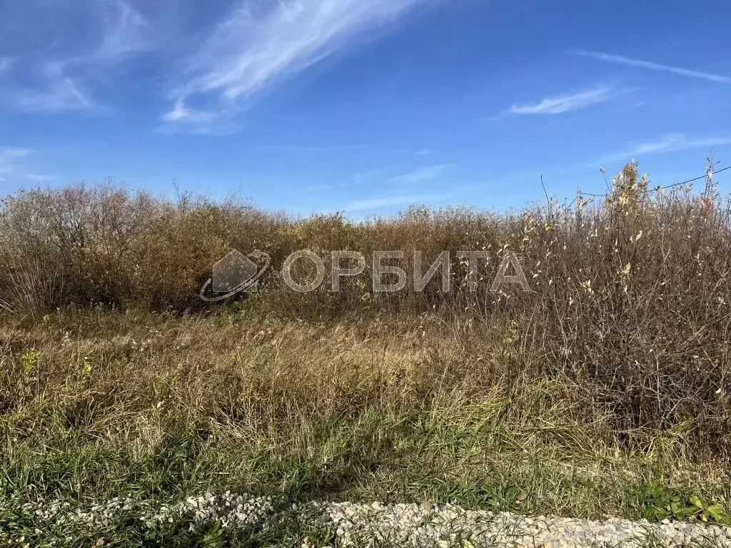 Участок в Тюменская область, Тюмень Садовое товарищество Липовый ... - Фото 0