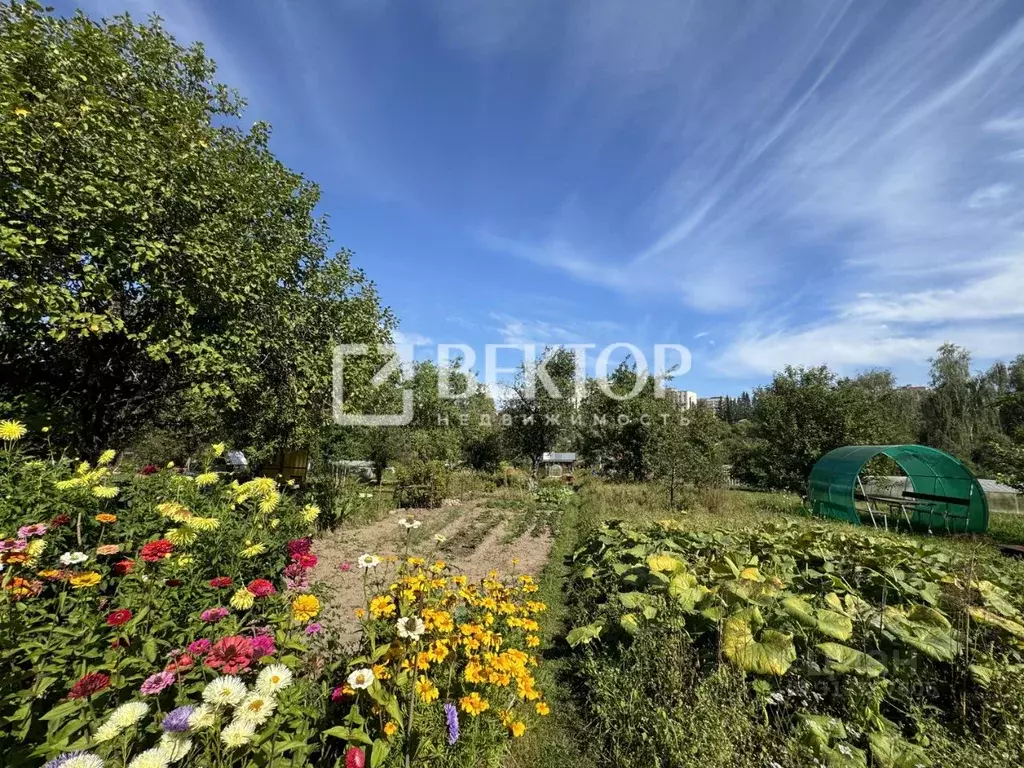 Участок в Костромская область, Кострома Прогресс СНТ, 129 (13.0 сот.) - Фото 1