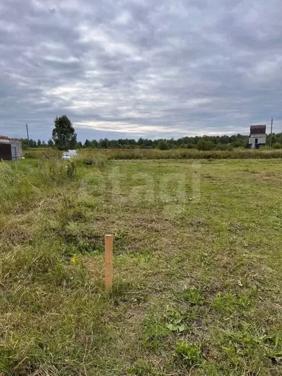 Участок в Удмуртия, Можгинский район, д. Малая Сюга ул. Малиновская ... - Фото 2