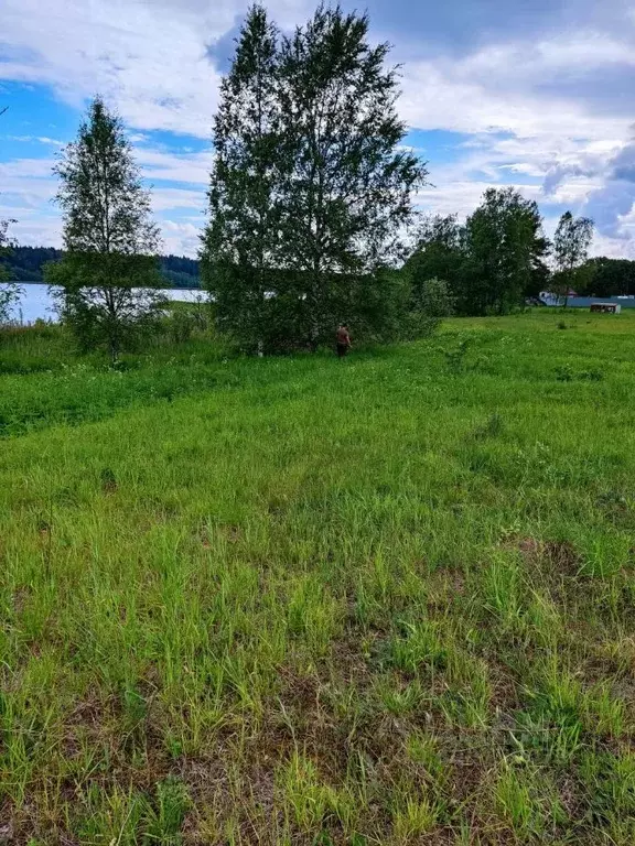 Участок в Новгородская область, Валдайский район, Едровское с/пос, с. ... - Фото 1