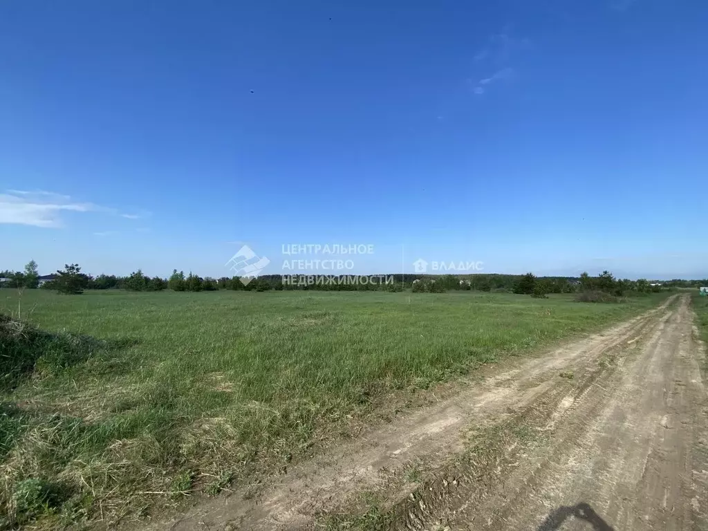 Участок в Рязанская область, Рязанский муниципальный округ, пос. ... - Фото 2