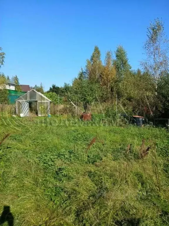 Участок в Ленинградская область, Выборгский район, Советское городское ... - Фото 1