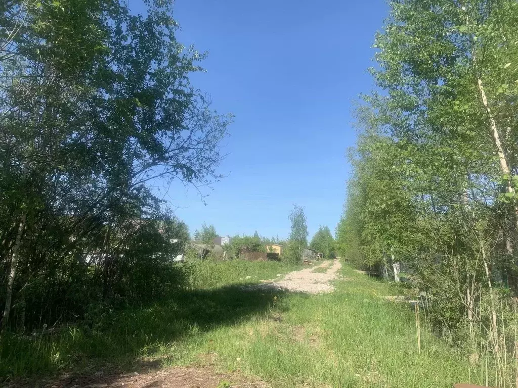 Участок в Новгородская область, Новгородский район, Панковское ... - Фото 2