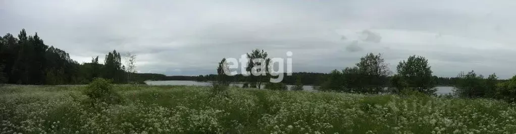 Участок в Ленинградская область, Приозерский район, Ромашкинское ... - Фото 0