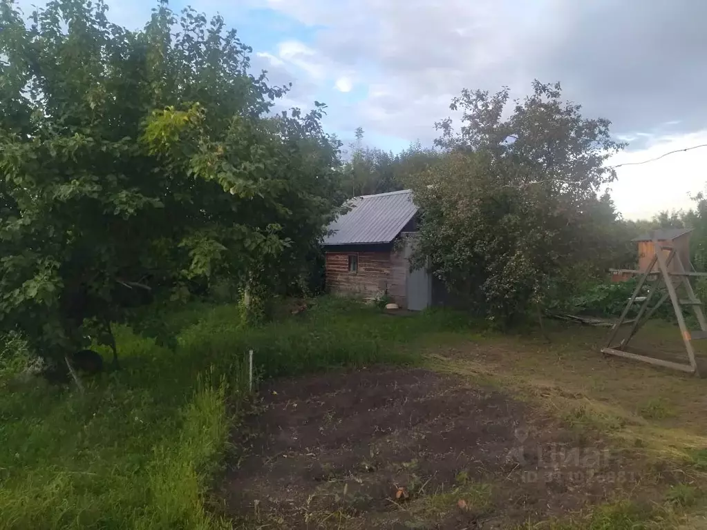 Дом в Алтайский край, Барнаул Декоратор СНТ,  (28 м) - Фото 2