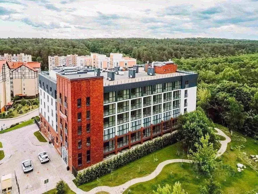 2-к кв. Калининградская область, Светлогорск Олимпийский бул., 3 (50.0 ... - Фото 1