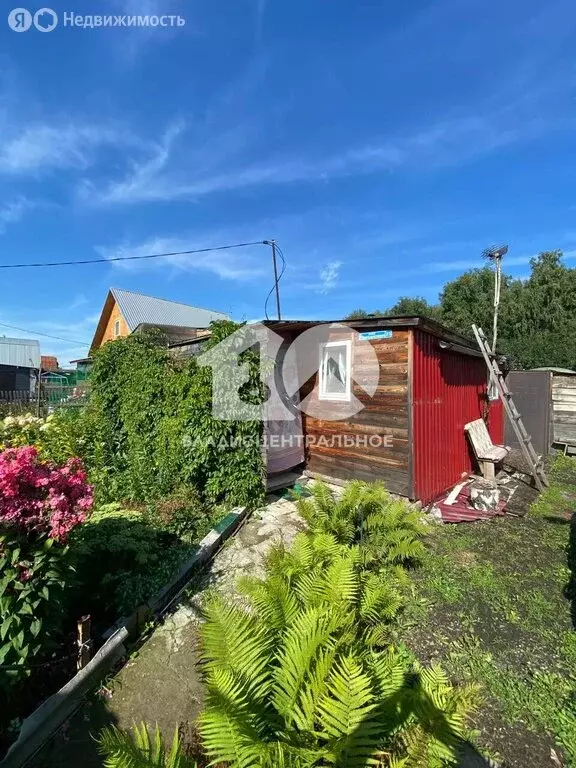 Дом в посёлок Октябрьский, СНТ Раздолье, Ромашковая улица (40 м) - Фото 1