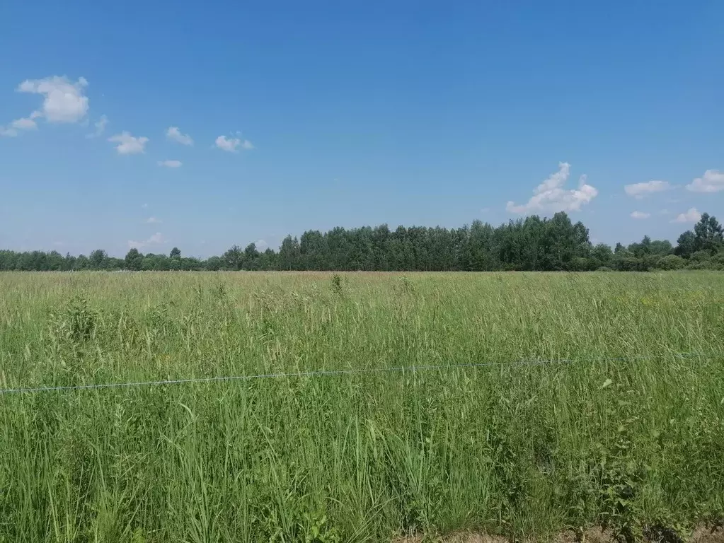 Участок в Московская область, Дмитровский городской округ, Раменье дп  ... - Фото 1