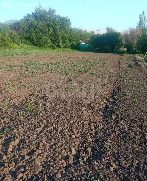 Участок в Аксайский район, станица Грушевская (14 м) - Фото 2