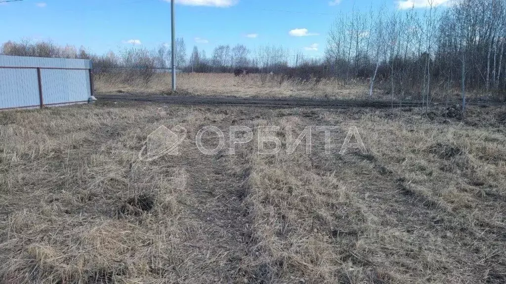 Участок в Тюменская область, Тюмень Поле Чудес садовое товарищество, ... - Фото 2