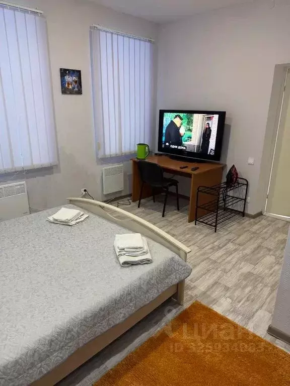 1-к кв. Псковская область, Гдов ул. Яна Фабрициуса, 25 (20.0 м) - Фото 2