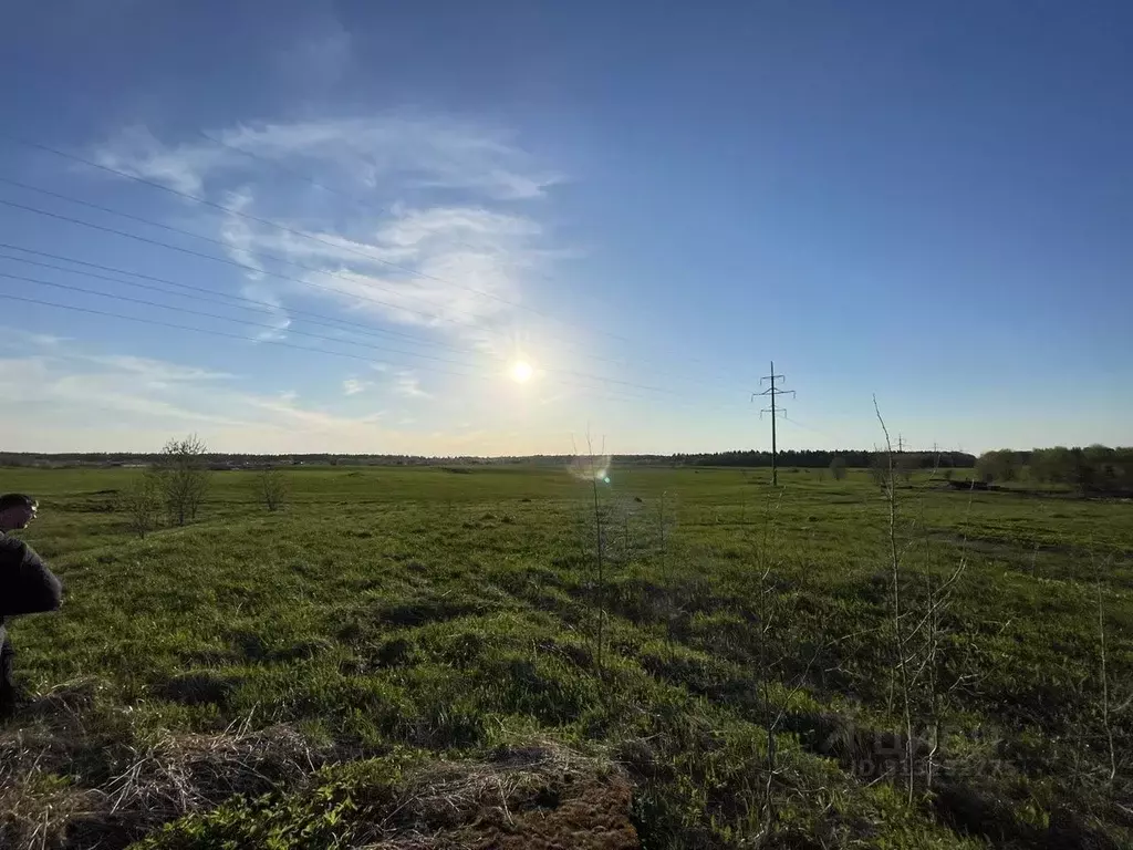 Участок в Ленинградская область, Ломоносовский район, Гостилицкое ... - Фото 1