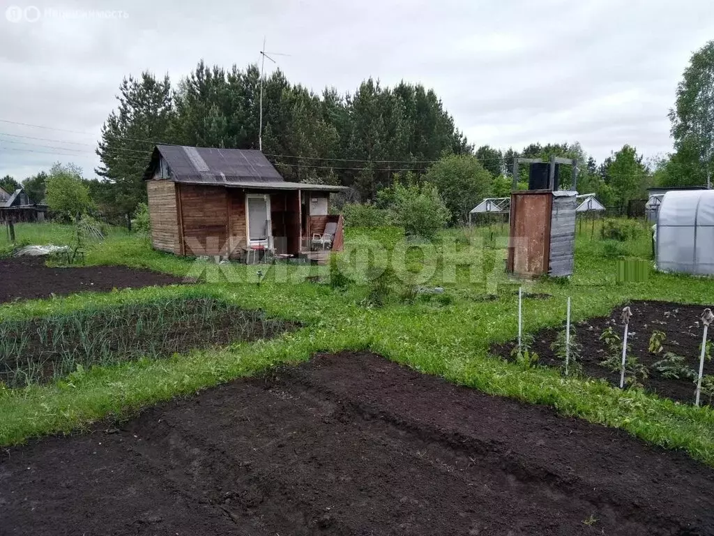 Участок в Мошковский район, садоводческое некоммерческое товарищество ... - Фото 1