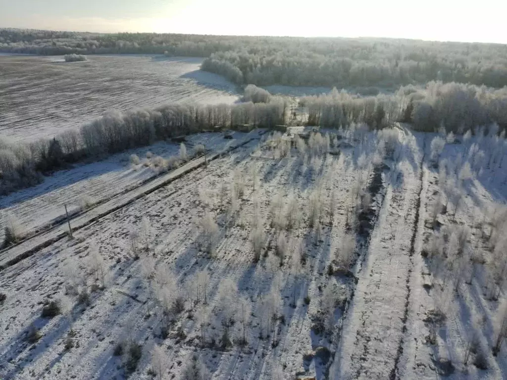 Участок в Вологодская область, д. Жилино ул. 4-я (8.0 сот.) - Фото 1