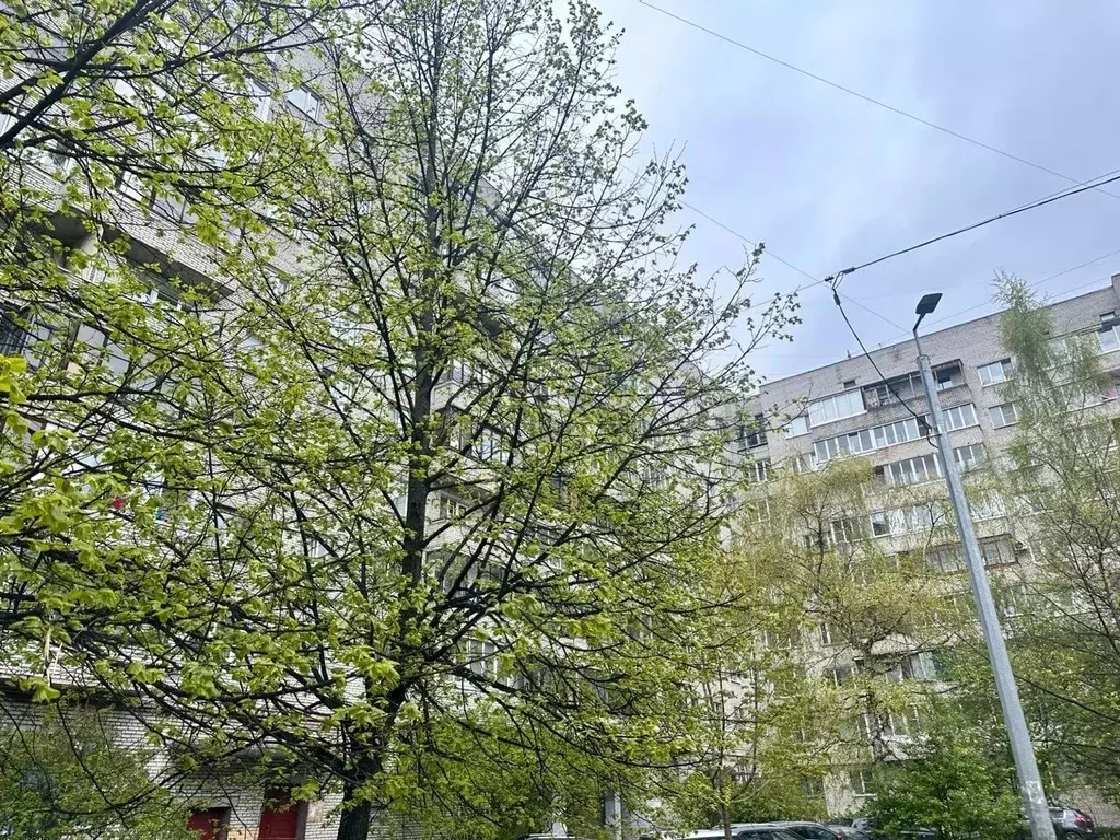 1-к кв. Санкт-Петербург Варшавская ул., 108 (35.0 м) - Фото 1