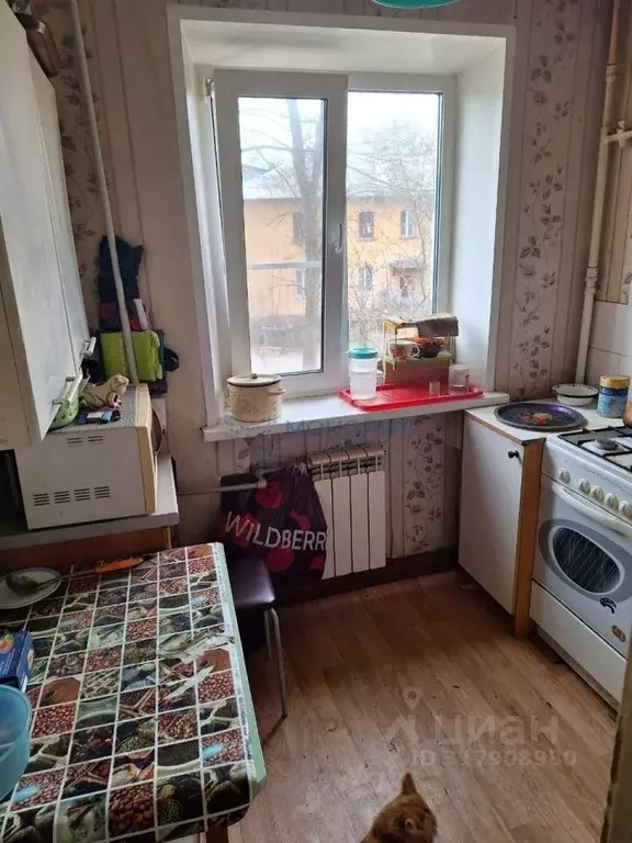 2-к кв. Нижегородская область, Нижний Новгород ул. Волкова, 8А (35.9 ... - Фото 0