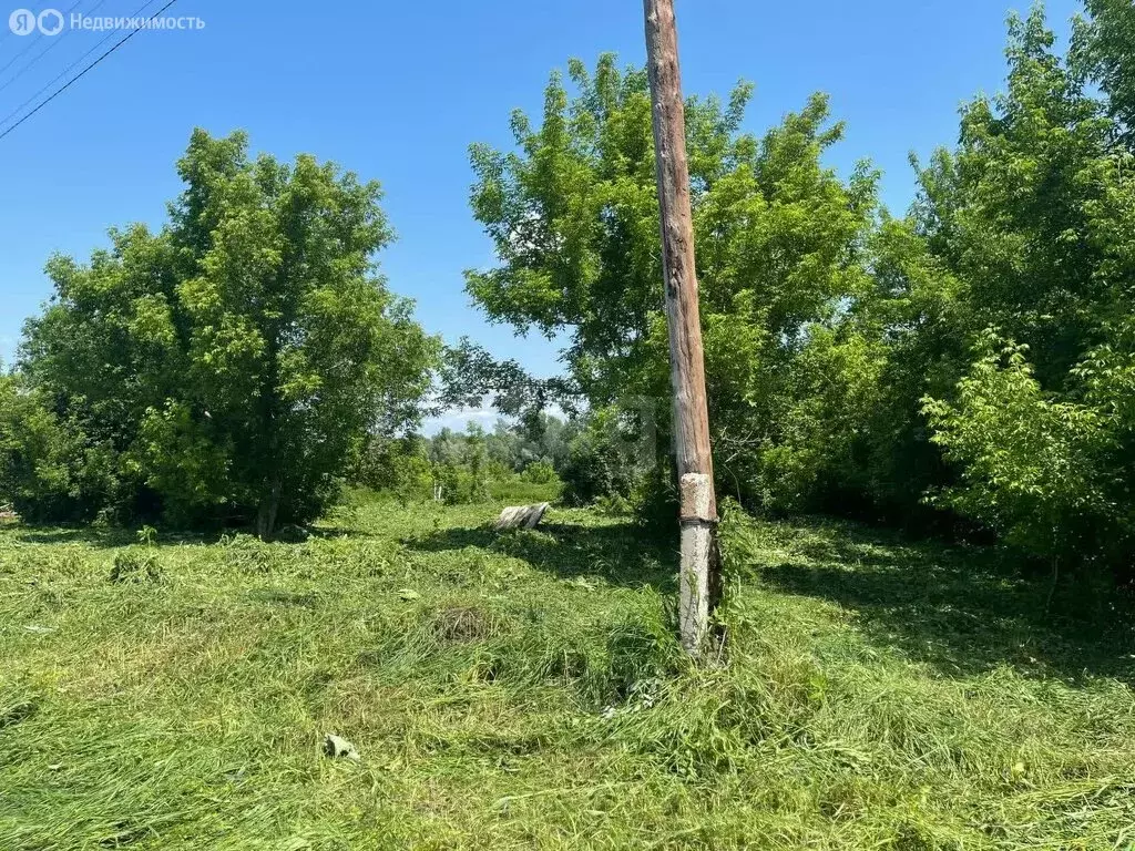 Участок в Советский район, село Шульгин Лог (3.79 м) - Фото 0