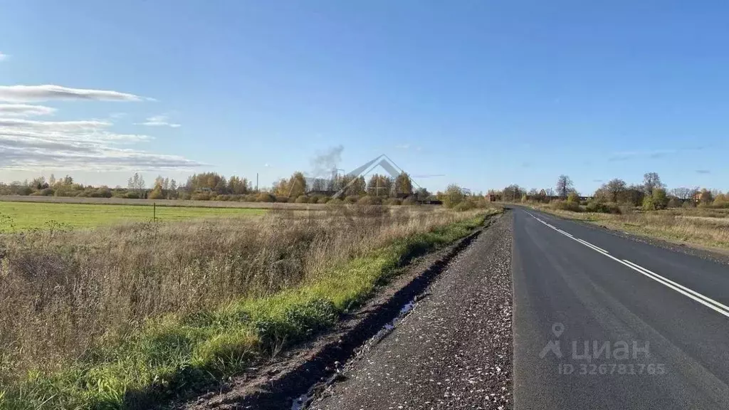 Участок в Новгородская область, Чудовский район, Трегубовское с/пос, ... - Фото 1