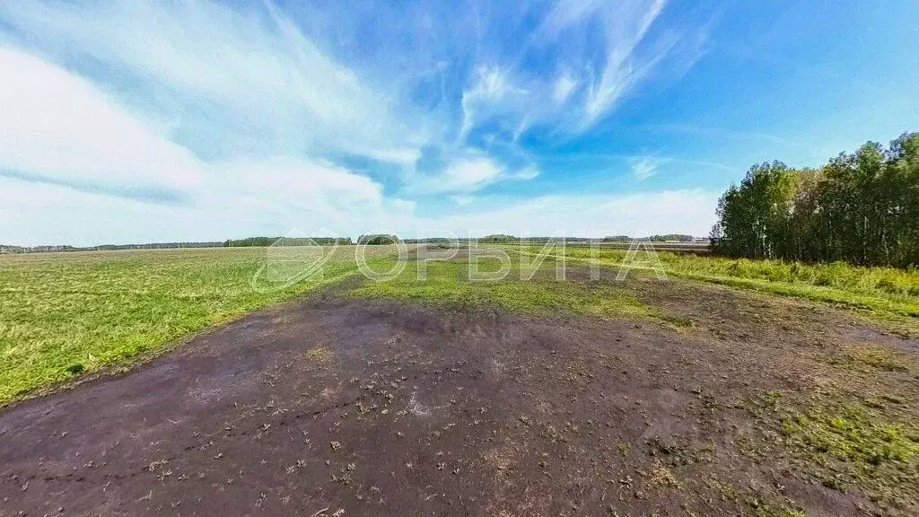 Участок в Тюменская область, Тюменский муниципальный округ, с. ... - Фото 1