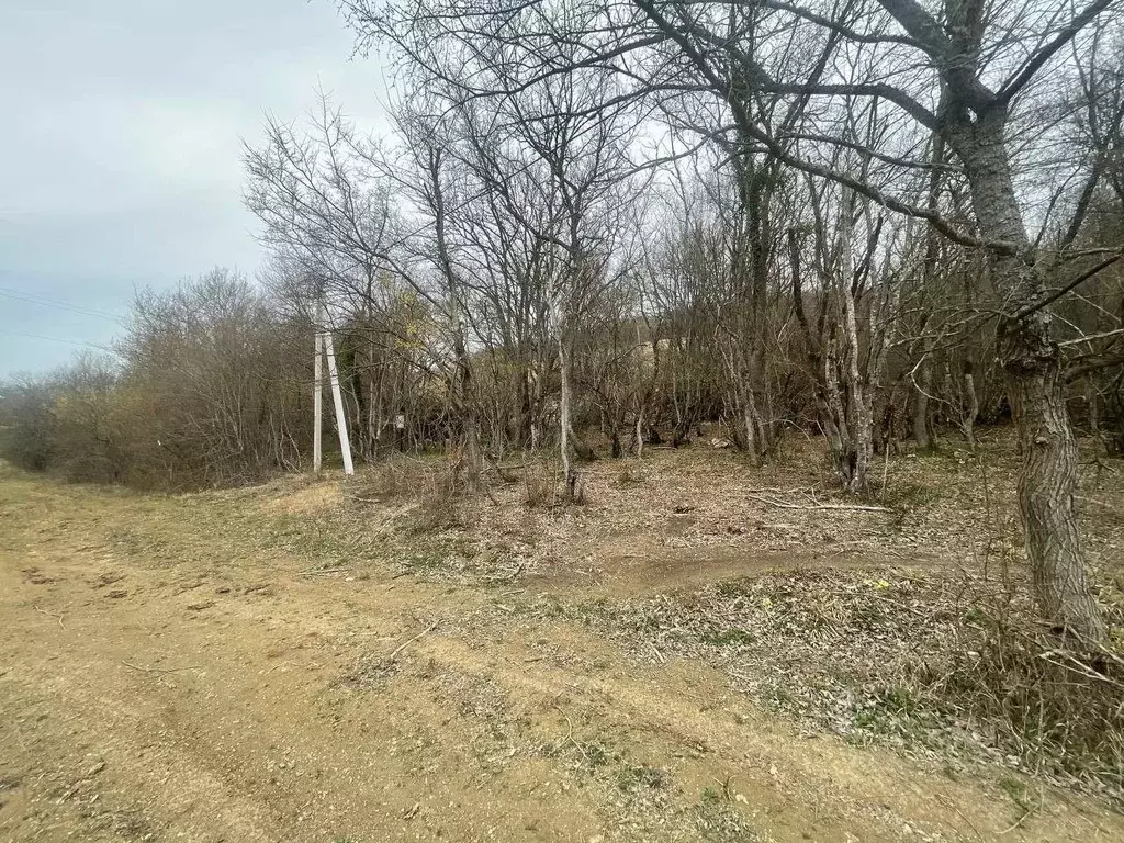 Участок в Севастополь с. Широкое, ул. Микадзе, 26А (5.0 сот.) - Фото 1