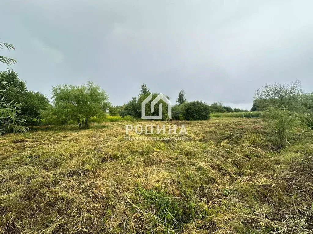 Участок в Хабаровский край, Хабаровский район, Тополевское с/пос, с. ... - Фото 1
